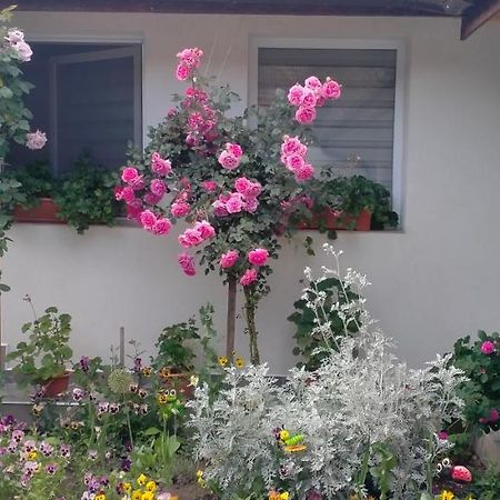 Casa Luminita Βίλα Ieşelniţa Εξωτερικό φωτογραφία