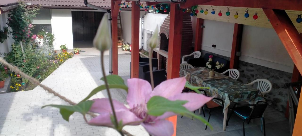 Casa Luminita Βίλα Ieşelniţa Εξωτερικό φωτογραφία