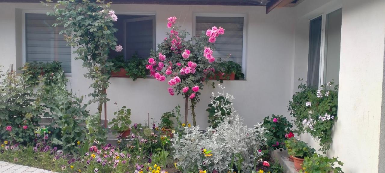 Casa Luminita Βίλα Ieşelniţa Εξωτερικό φωτογραφία