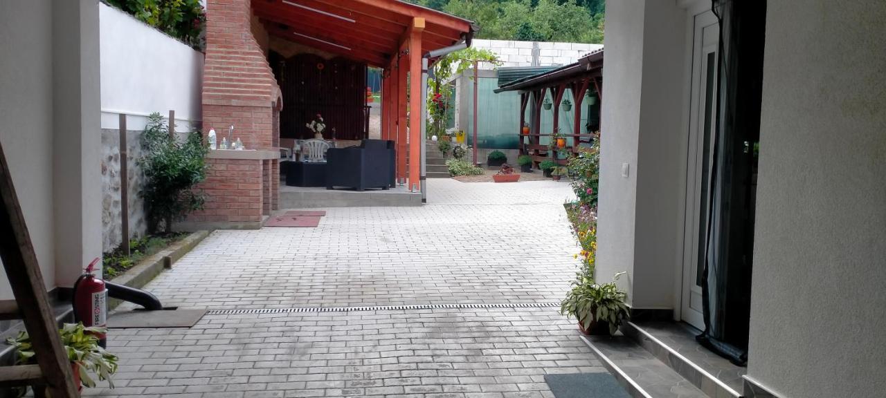 Casa Luminita Βίλα Ieşelniţa Εξωτερικό φωτογραφία